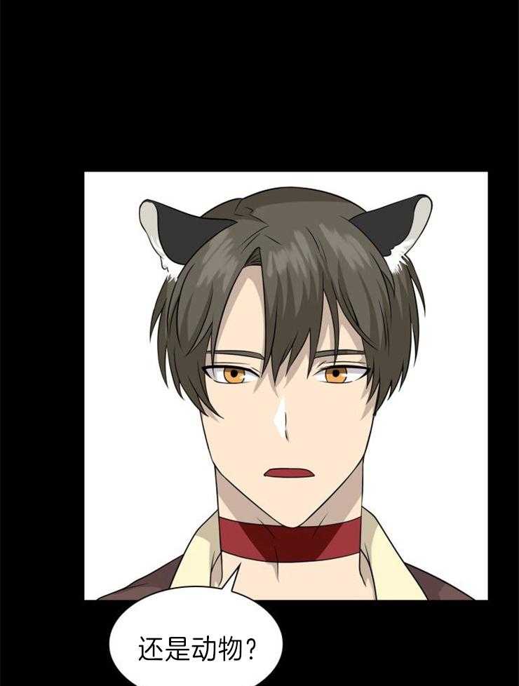 旷野之息（共2季） 第116话 第4页