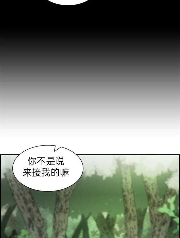 旷野之息（共2季） 第116话 第5页