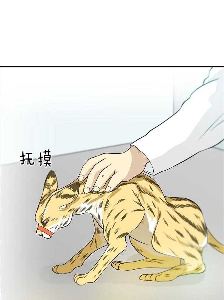 旷野之息（共2季） 第117话 第7页