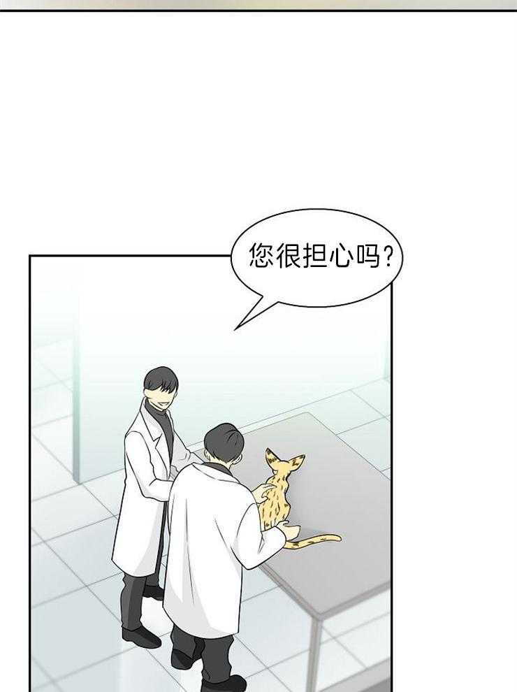 旷野之息（共2季） 第117话 第8页