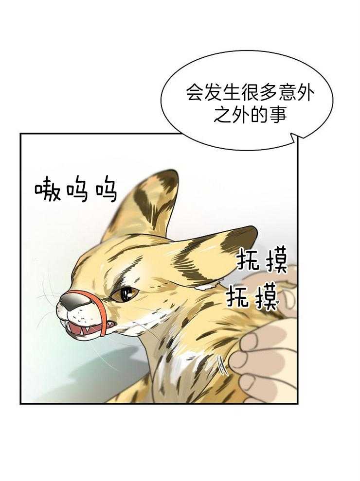 旷野之息（共2季） 第117话 第10页