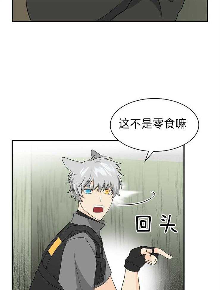 旷野之息（共2季） 第118话 第5页