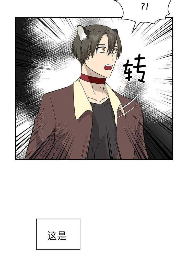 旷野之息（共2季） 第119话 第16页