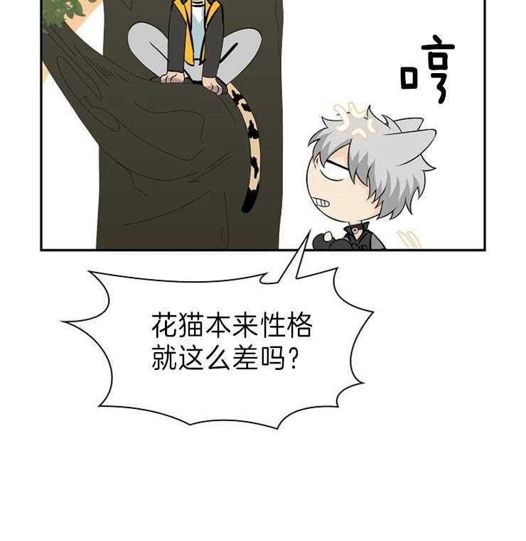 旷野之息（共2季） 第119话 第25页