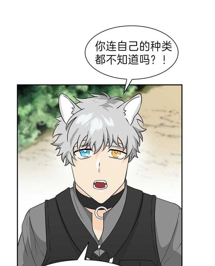 旷野之息（共2季） 第119话 第27页