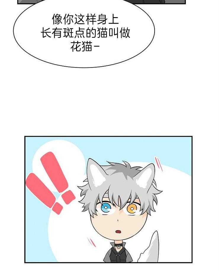 旷野之息（共2季） 第119话 第28页