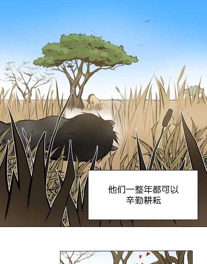 旷野之息（共2季） 第12话 第1页