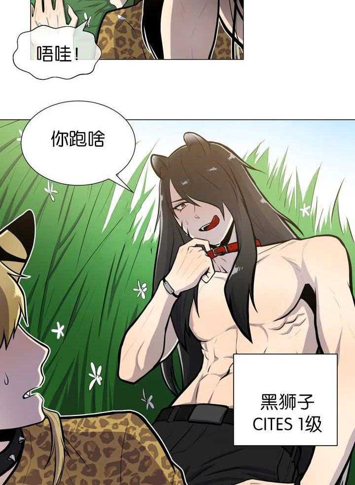 旷野之息（共2季） 第12话 第10页