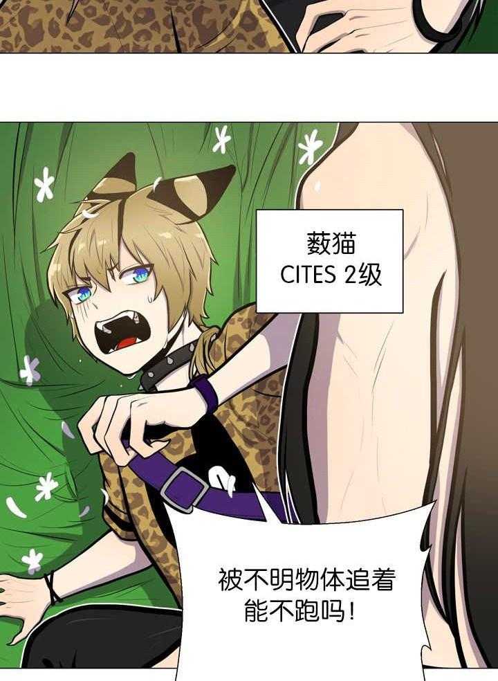 旷野之息（共2季） 第12话 第11页