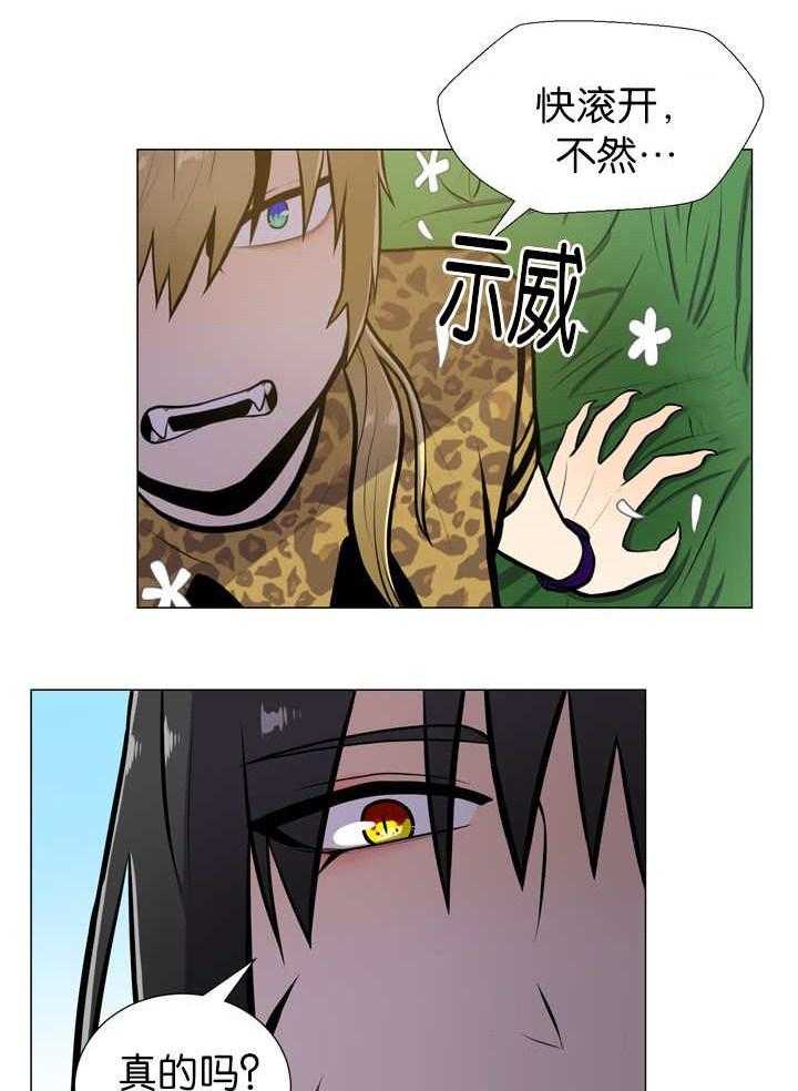 旷野之息（共2季） 第12话 第13页