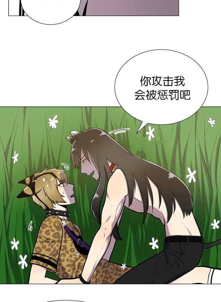 旷野之息（共2季） 第12话 第14页