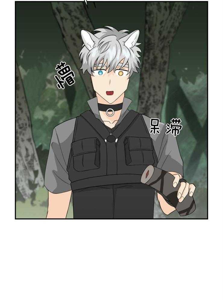 旷野之息（共2季） 第120话 第17页