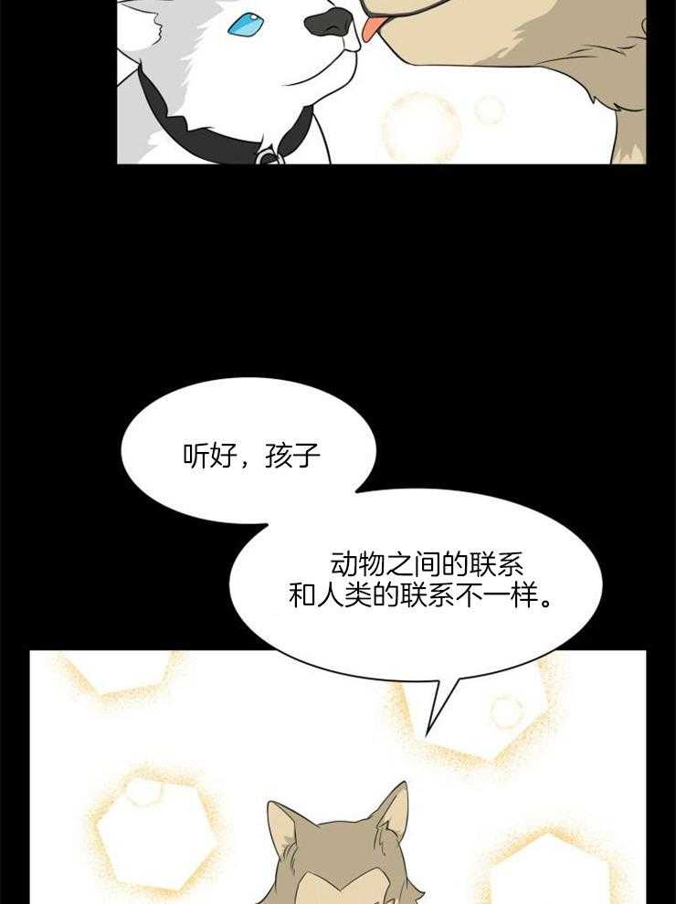 旷野之息（共2季）第121话图