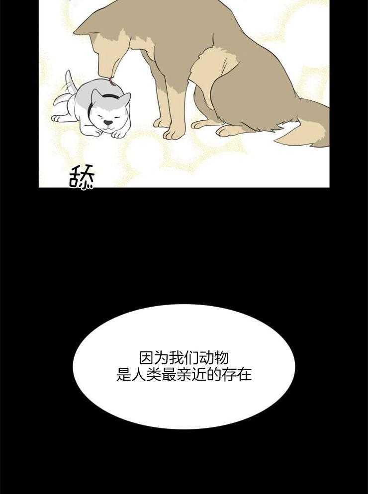 旷野之息（共2季）第121话图