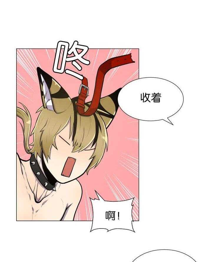 旷野之息（共2季） 第13话 第1页