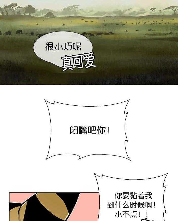 旷野之息（共2季） 第13话 第6页