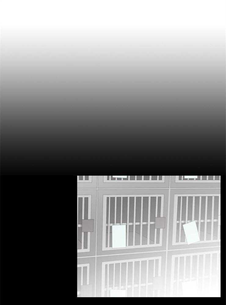 旷野之息（共2季）第136话图