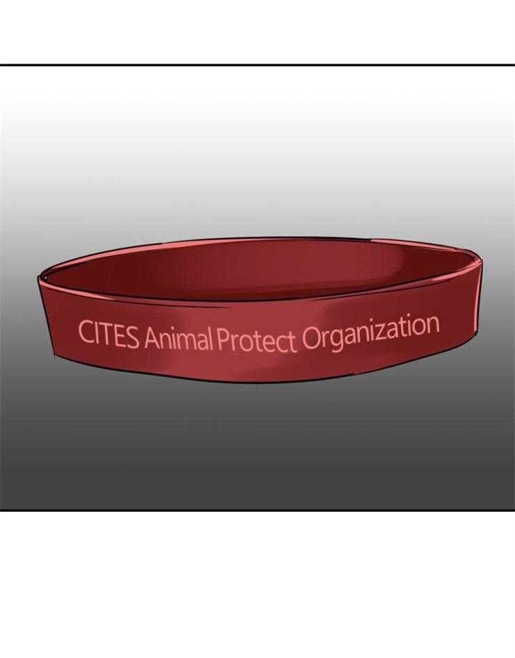 旷野之息（共2季）第138话图