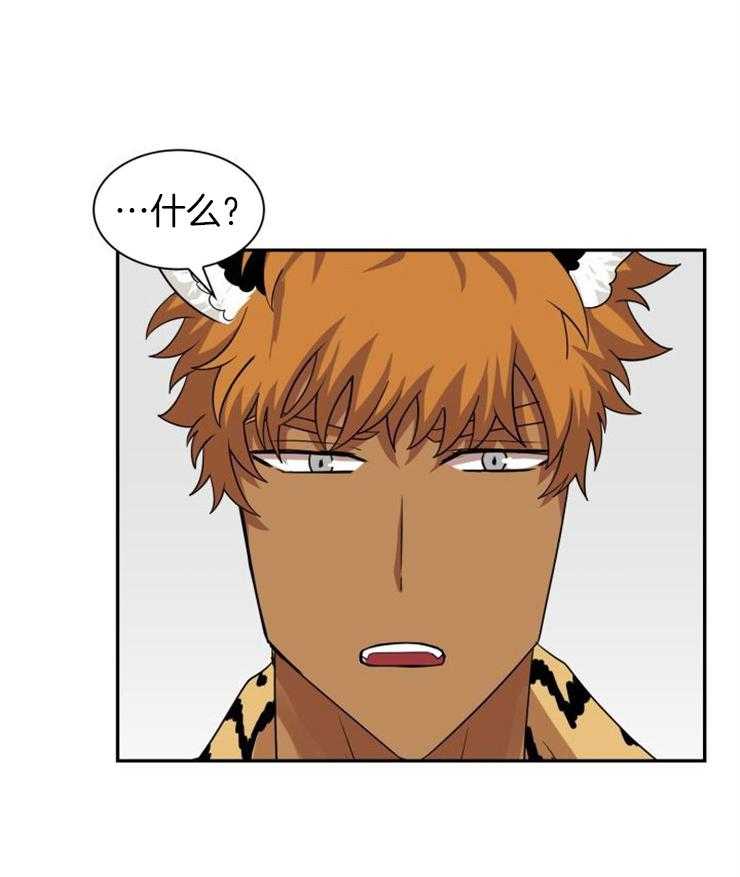 旷野之息（共2季）第141话图