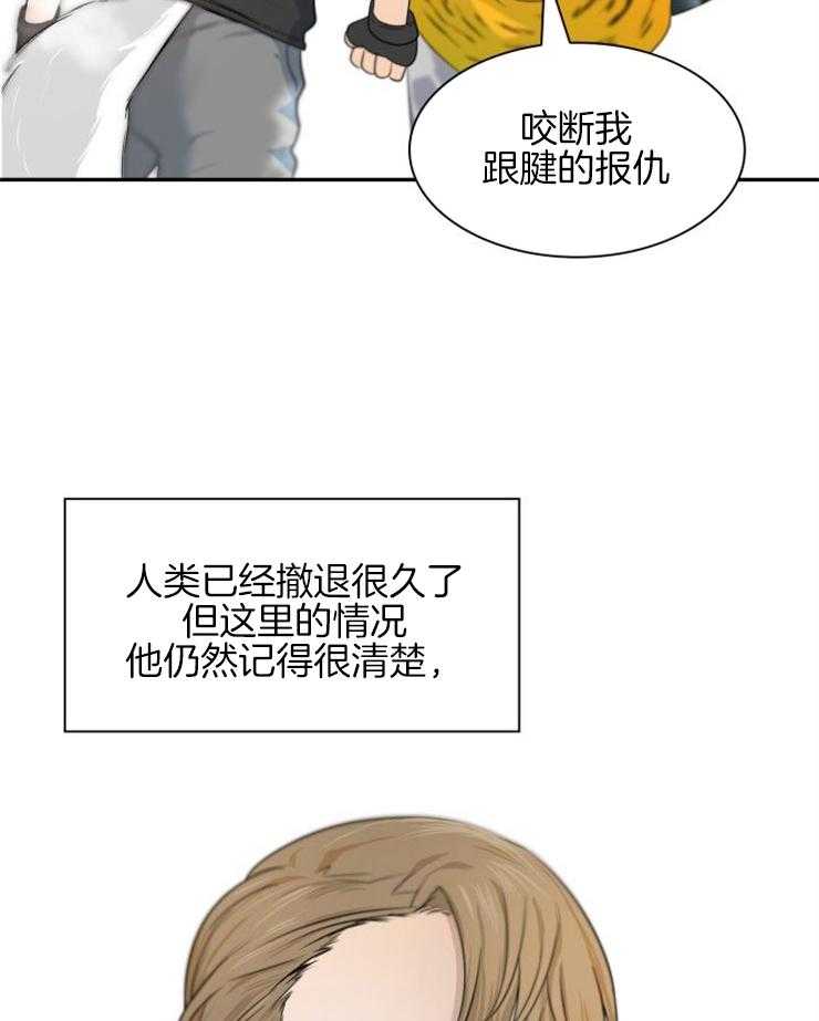 旷野之息（共2季）第144话图