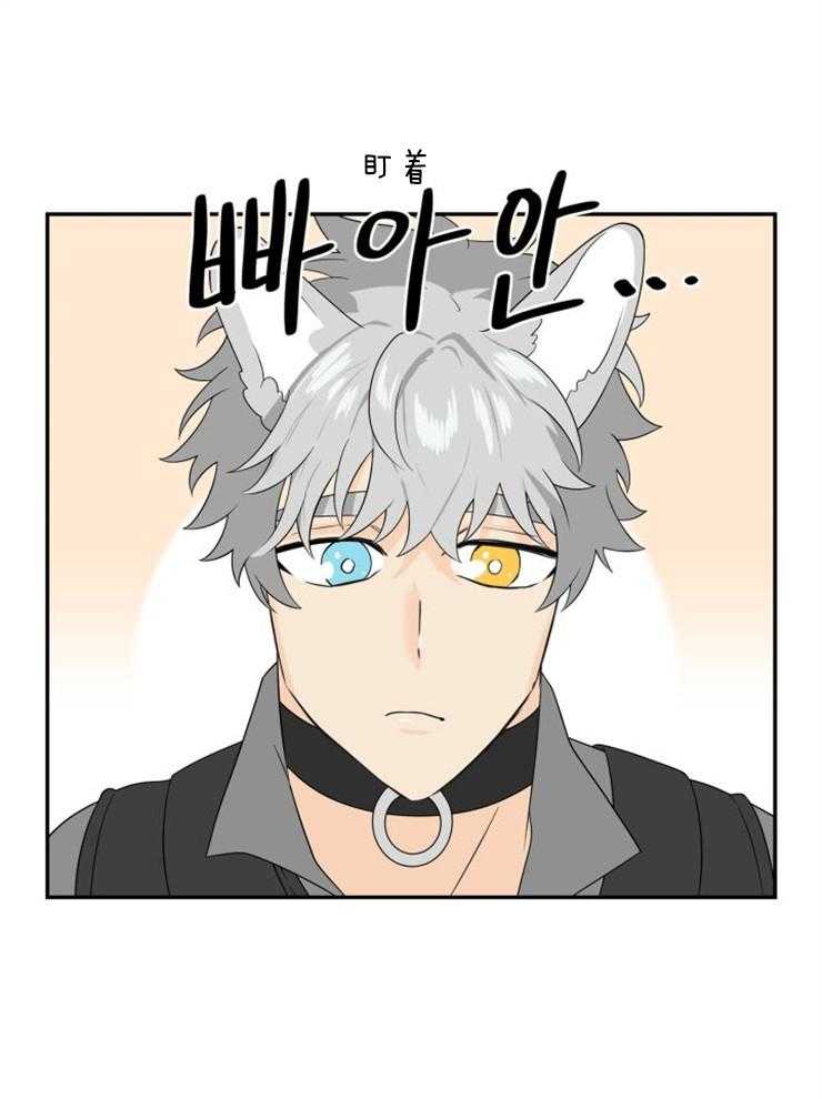 旷野之息（共2季）第147话图