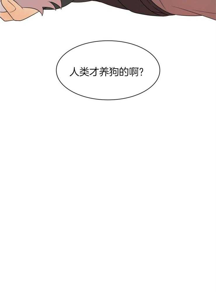 旷野之息（共2季）第147话图