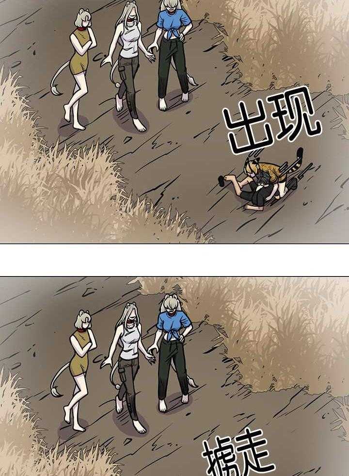 旷野之息（共2季） 第15话 第4页