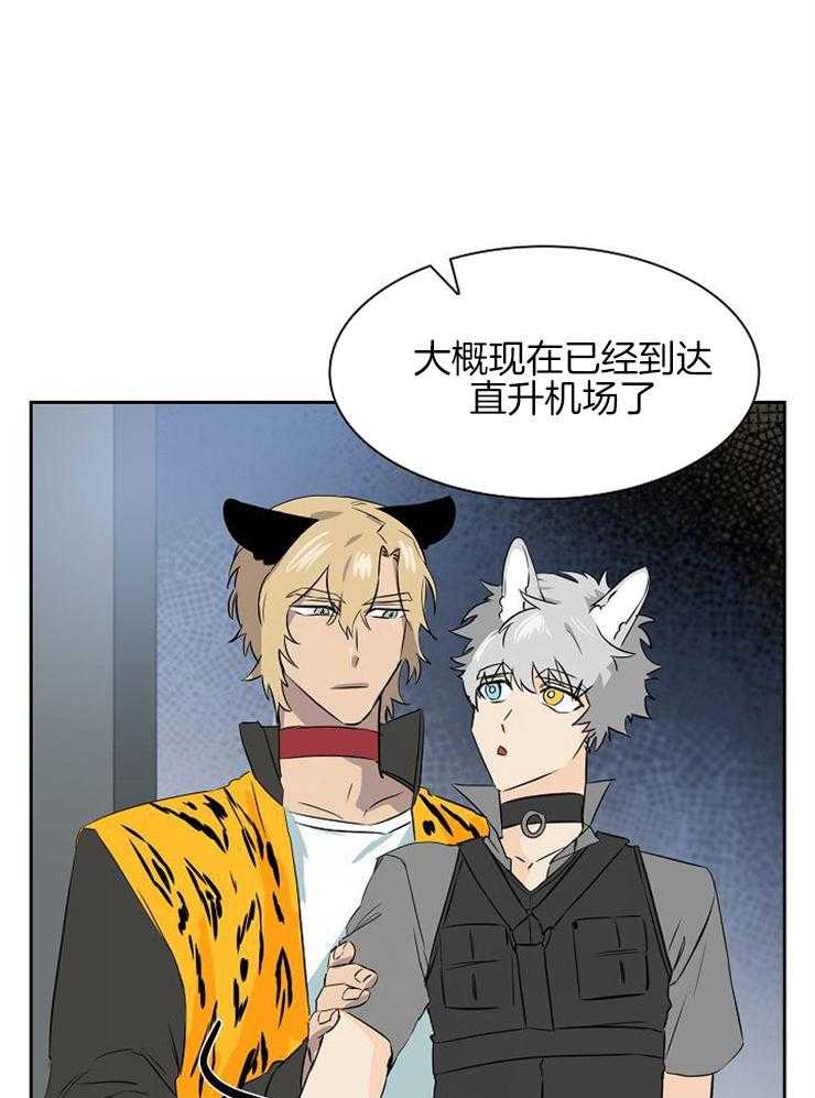 旷野之息（共2季）第155话图