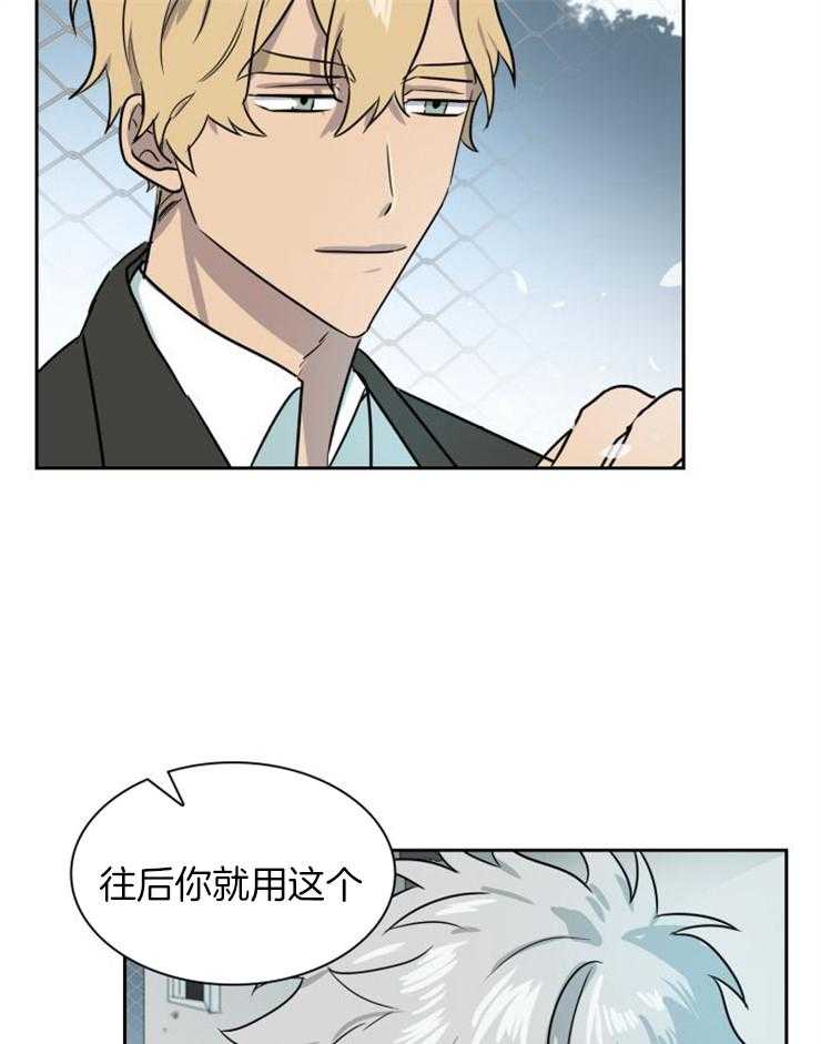 旷野之息（共2季）第162话图