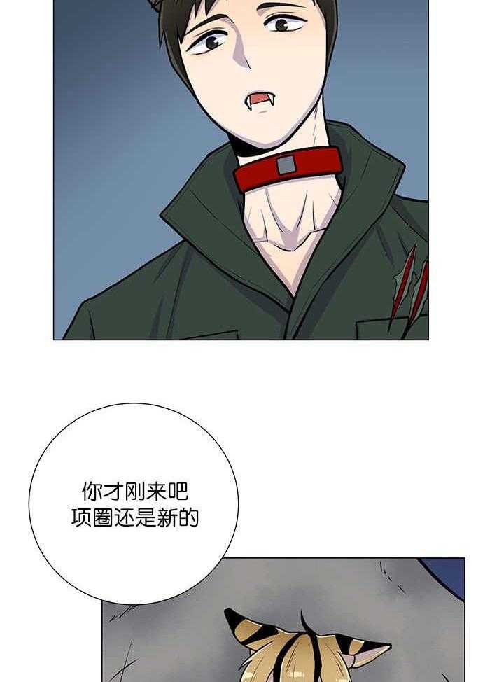 旷野之息（共2季） 第2话 第11页