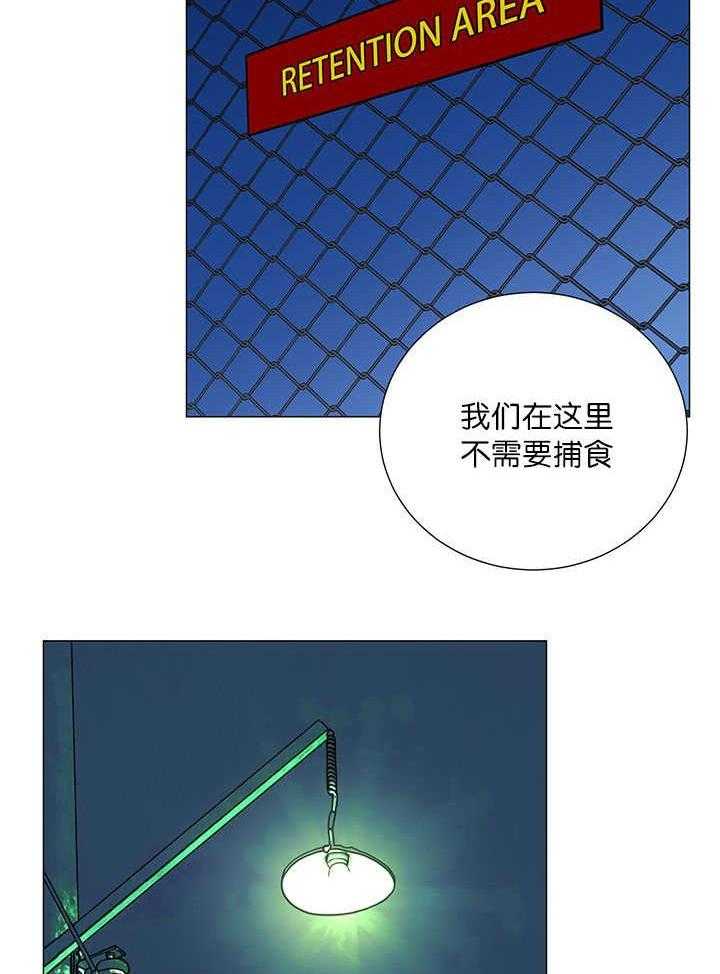 旷野之息（共2季） 第2话 第14页