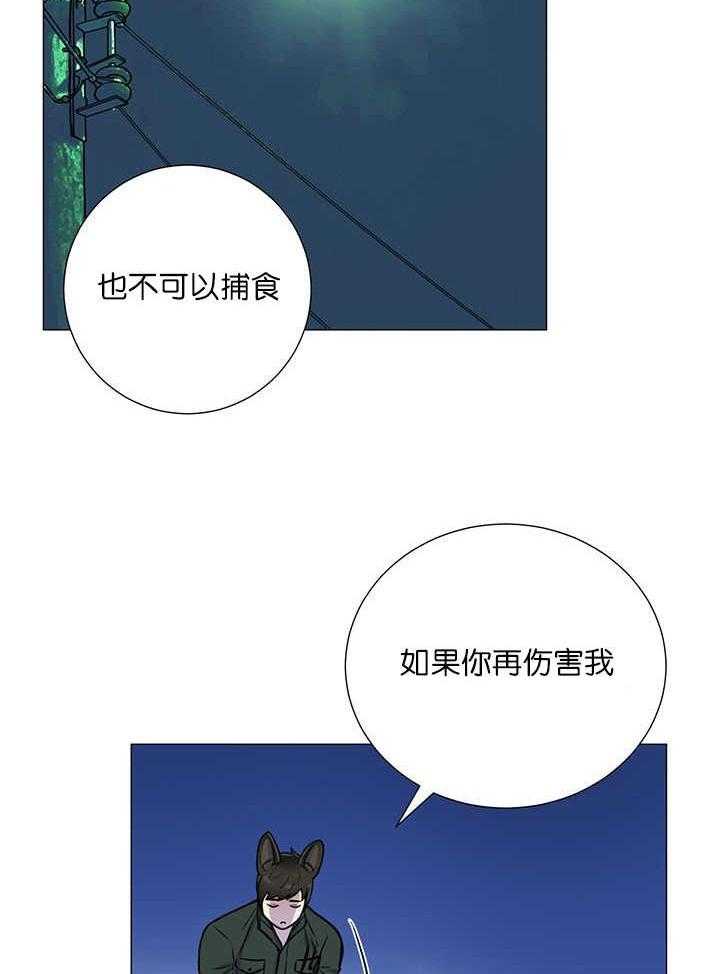 旷野之息（共2季） 第2话 第15页