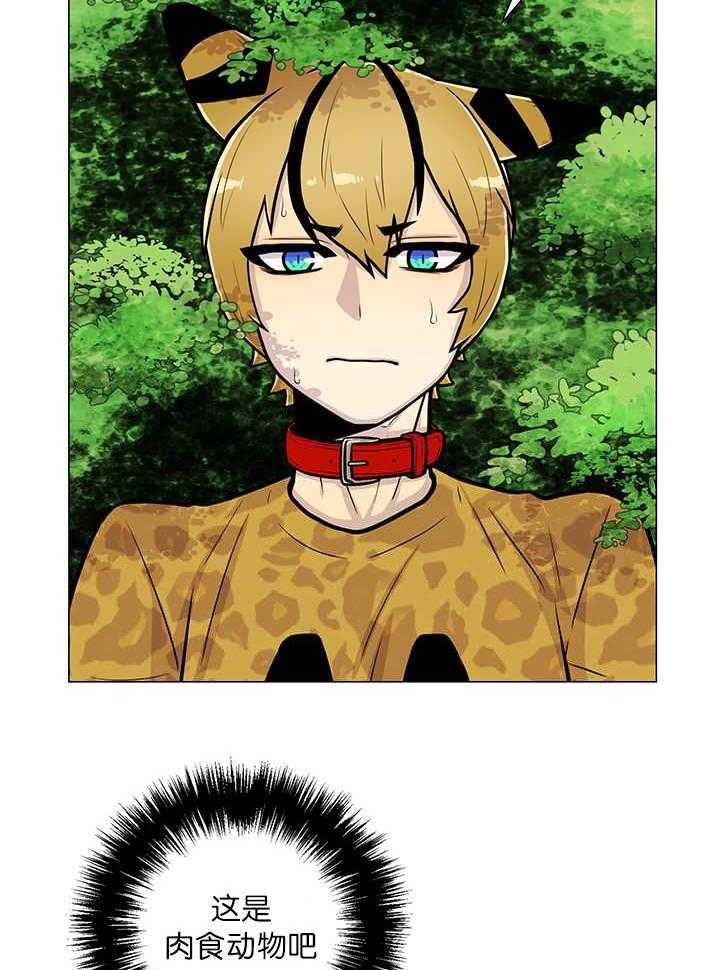 旷野之息（共2季） 第20话 第6页