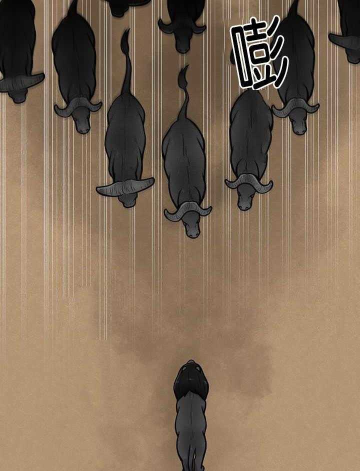 旷野之息（共2季） 第20话 第17页