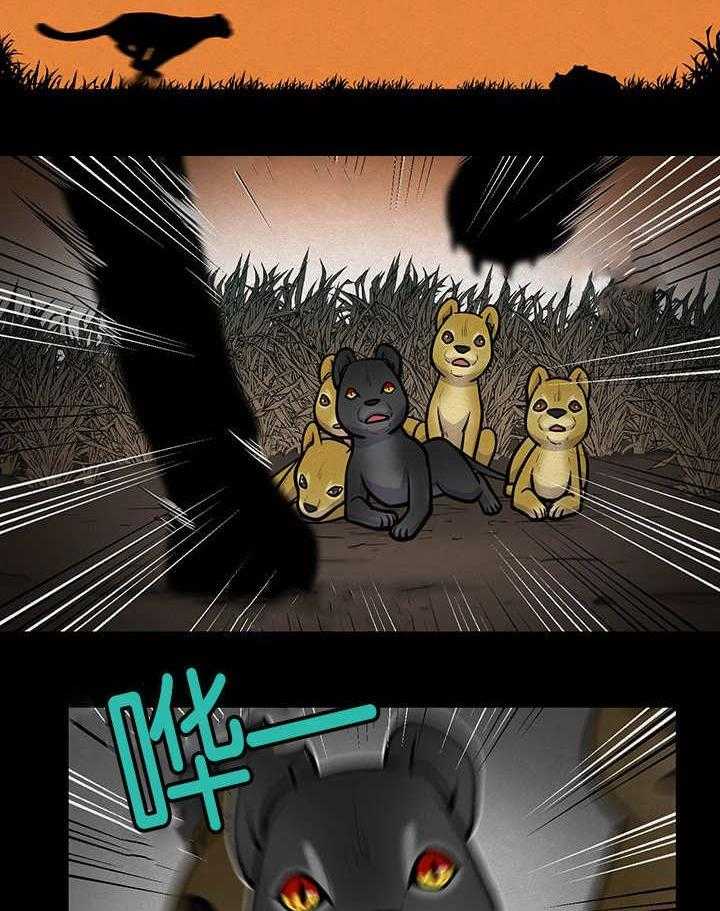 旷野之息（共2季） 第21话 第5页