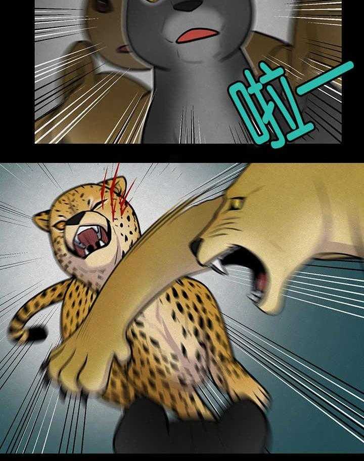 旷野之息（共2季） 第21话 第6页