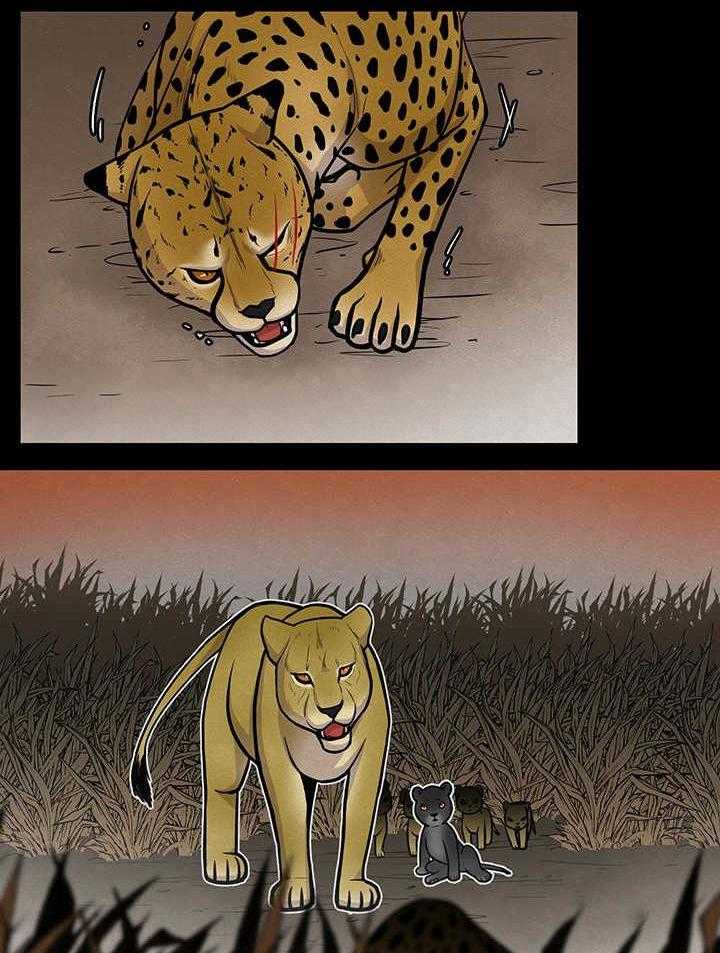 旷野之息（共2季） 第21话 第8页