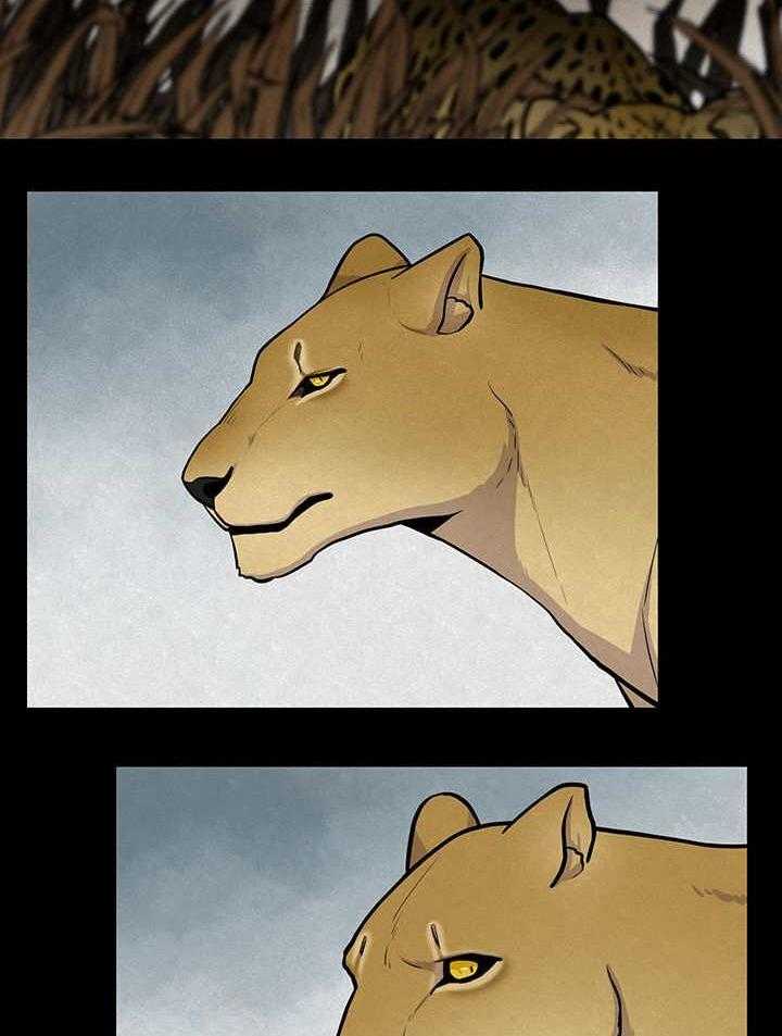 旷野之息（共2季） 第21话 第9页