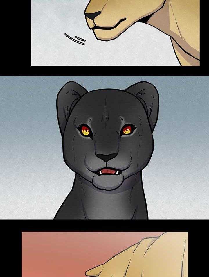 旷野之息（共2季） 第21话 第10页