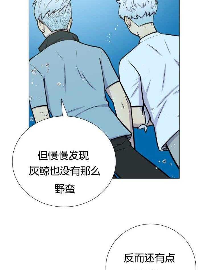 旷野之息（共2季） 第27话 第2页