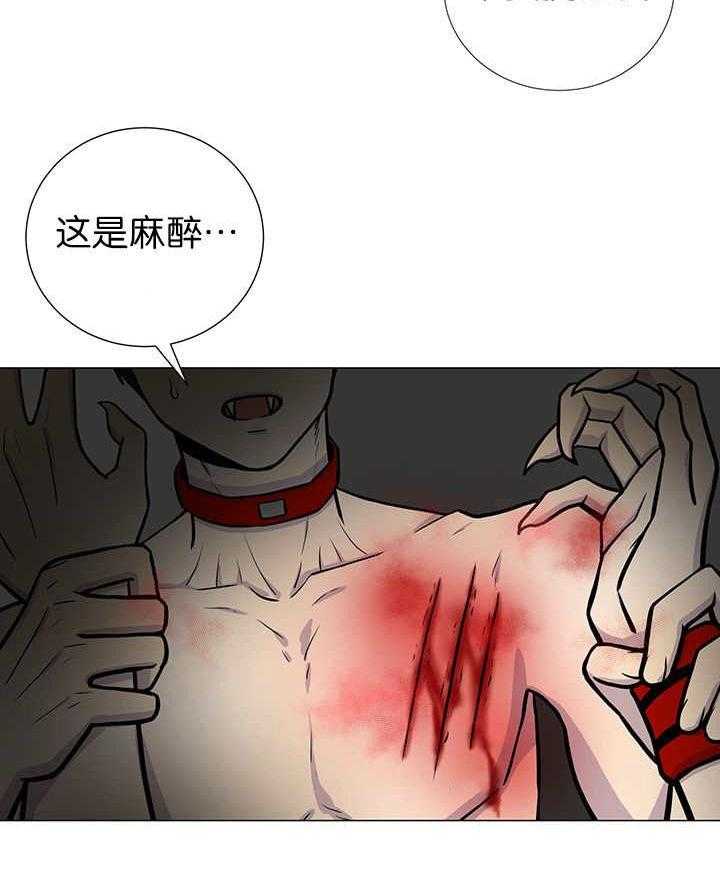 旷野之息（共2季） 第3话 第21页