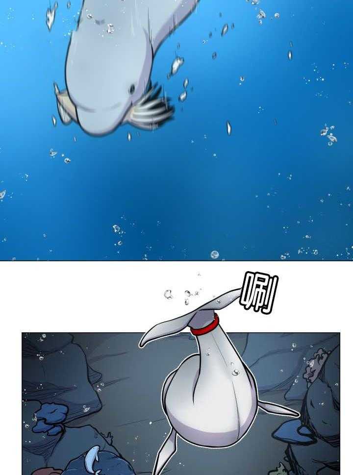 旷野之息（共2季） 第34话 第1页