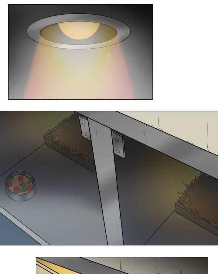 旷野之息（共2季）第36话图