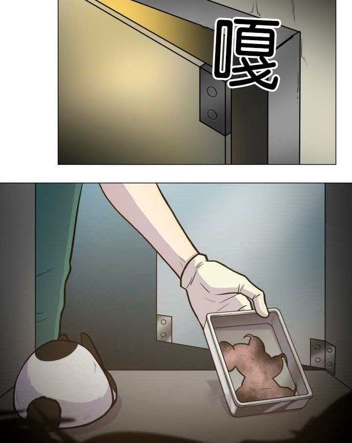 旷野之息（共2季） 第36话 第1页