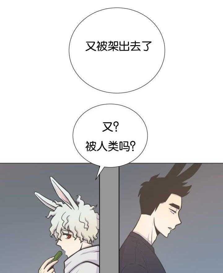 旷野之息（共2季） 第36话 第7页