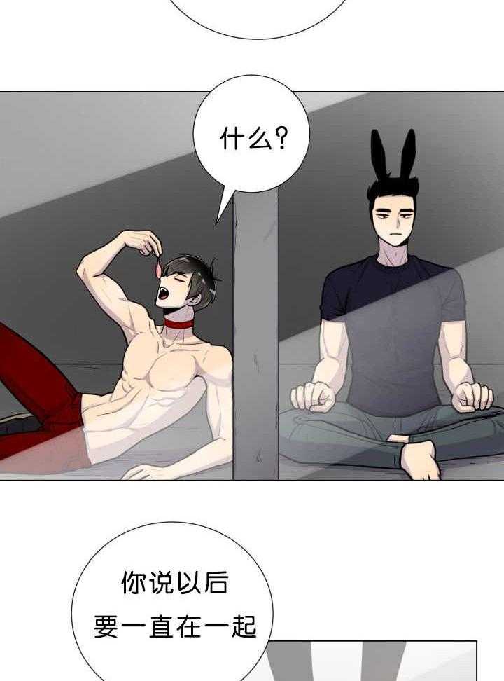 旷野之息（共2季） 第39话 第1页