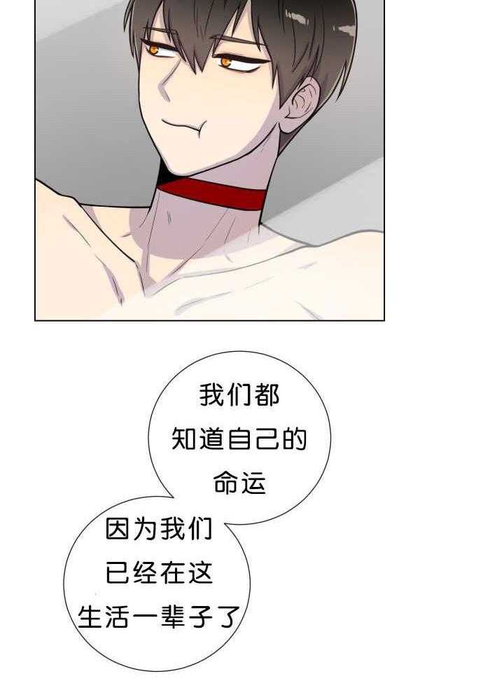 旷野之息（共2季） 第39话 第3页