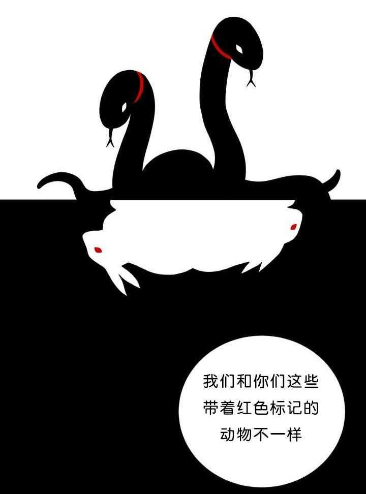 旷野之息（共2季） 第39话 第4页