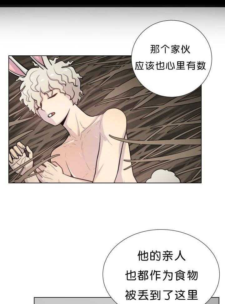 旷野之息（共2季） 第39话 第5页