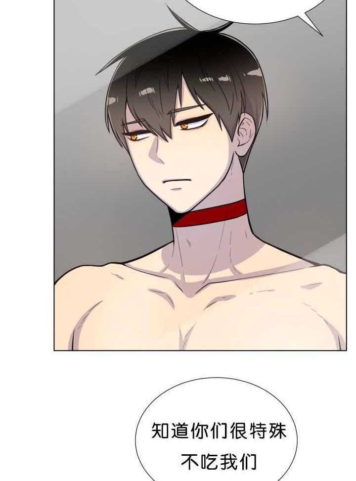 旷野之息（共2季） 第39话 第6页